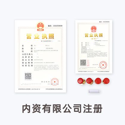 内资有限公司注册