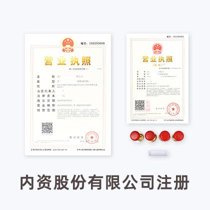 内资股份有限公司注册