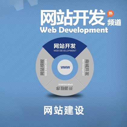 网站建设/开发
